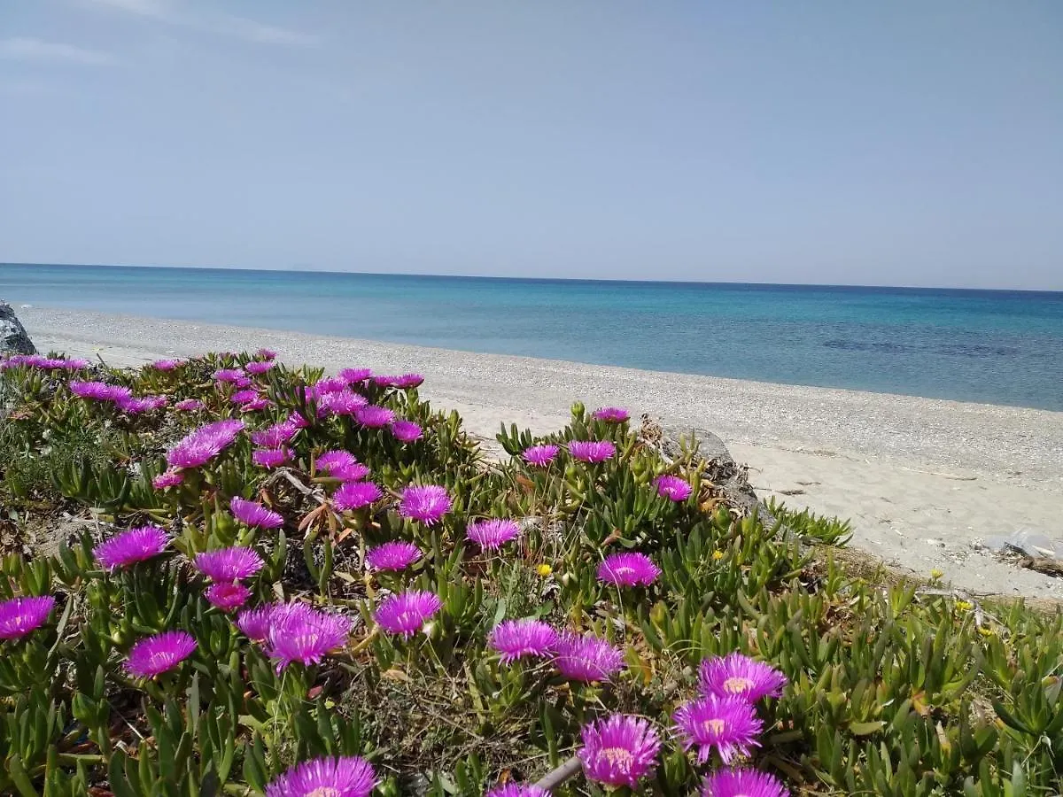 Atelier Bed&Bed Hotel Messina Guest house